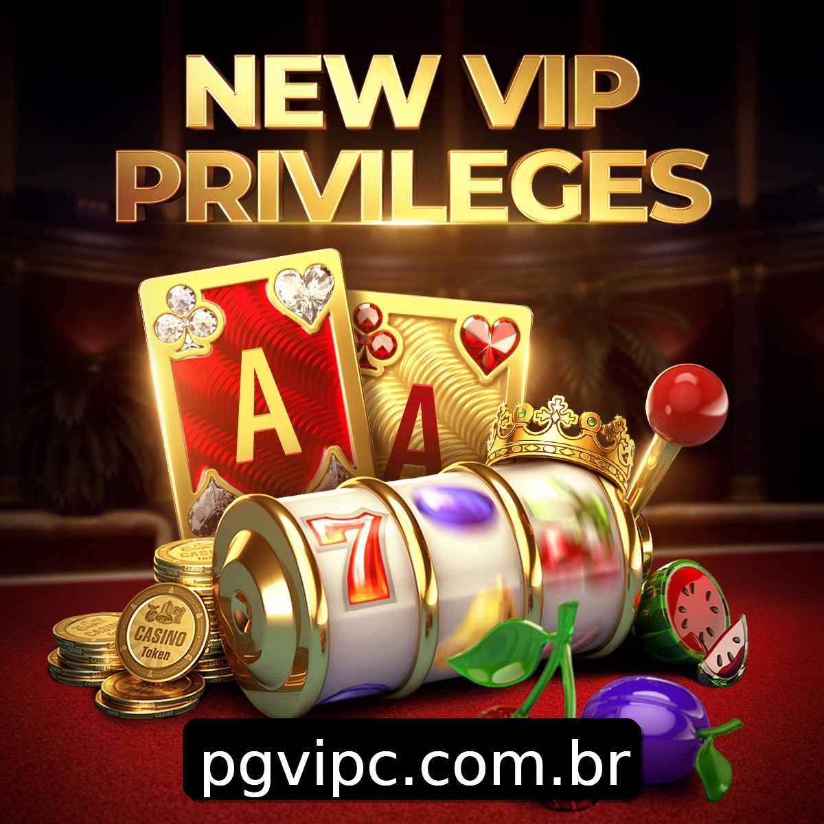 Programa VIP pgvip